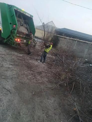 Уборка территории: Уборка территории, Уборка двора и сада — 2