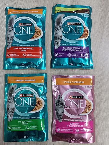 сухое молоко для котенка: Purina ONE — влажный корм для кошек и котят, паучи 75 г. Линейка в — 1