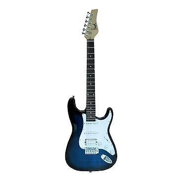 valencia gitara: №: 5402 Məhsulun adı: Elektrik gitara Floyd EGS112 Blueburst Brend — 1