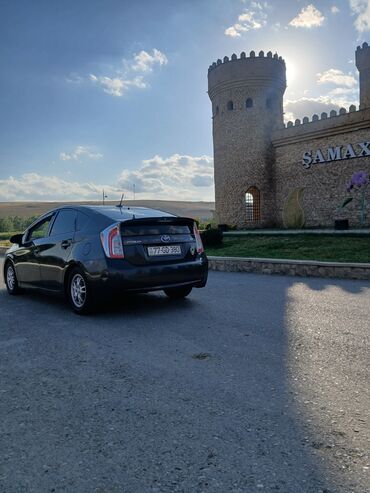 фольксваген поло хэтчбек: Toyota Prius: 1.8 l | 2011 il Hetçbek