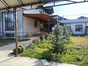 Долгосрочная аренда домов: 750 м², 12 комнат, Ак-Тилек мкр — 6