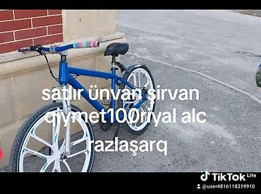 wolf bicycle: Şirvanda satılır. Məhsul: Velosiped - Rəng: Göy gövdə, ağ təkər — 1