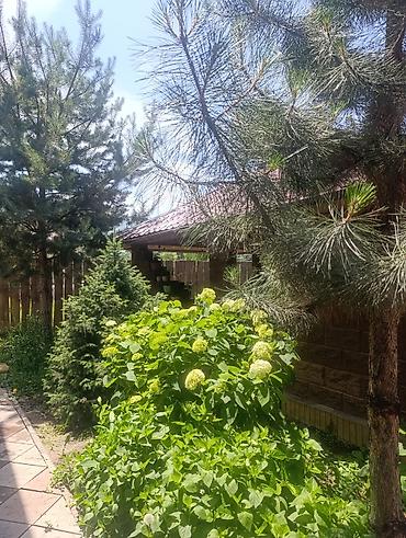 Посуточная аренда домов: 100 м², 5 комнат, Парковка, Видеонаблюдение, Подвал, погреб — 1