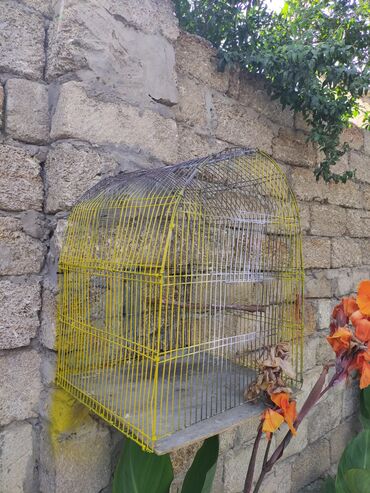 Qəfəslər: Qefesler yumru qirmizi 30 Azn obirler 20-15 Azn — 6