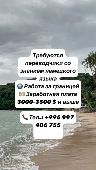перевод документ: Переводчик
