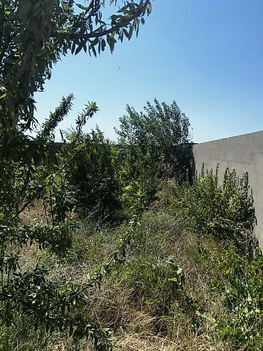 basavik satisi: Nardaran qəs. 4 otaqlı, 180 kv. m, Kredit yoxdur, Orta təmir — 4