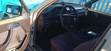 Mercedes-Benz: Mercedes-Benz W124: 1988 г., 2.3 л, Механика, Бензин, Седан — 6