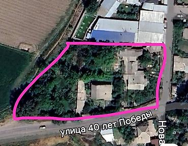 ысык куле: 42 соток, Бизнес үчүн, Кызыл китеп, Техпаспорт, Сатып алуу-сатуу келишими — 1