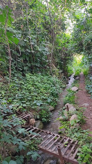 Продажа участков: 6 соток, Для бизнеса, Красная книга, Тех паспорт, Договор купли-продажи — 15