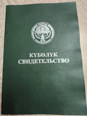 Жер тилкелери: 100 соток, Айыл чарба үчүн — 2