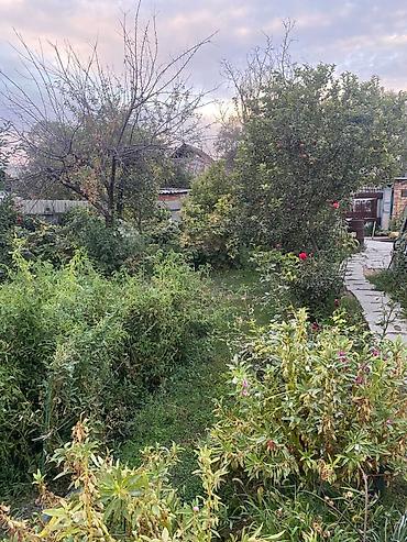 Продажа коттеджей и домов: Продается дом 7,7 соток 53 кв.м + времянка + гараж + баня Центральная — 14