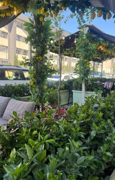 qız axtarıram: Şənbə və Bazar günləri iş axtarıram