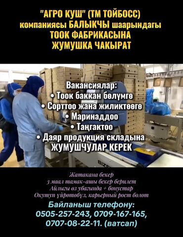 ищу работу упаковщик: Требуется Упаковщик, Оплата Сдельная, Без опыта