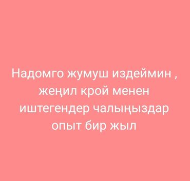надомниц: Швея Прямострочка