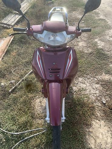 мопеды 50 кубов: Продам мопед-скутер класса Cub (тип Honda Super Cub/Delta) в бордовом — 7
