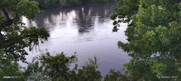 Bal: 100% qarantiya verilir təbii olduğuna! . 100% Təbii Bal zəmanət -da lalafo.az — 28 Bal: 100% qarantiya verilir təbii olduğuna! . 100% Təbii Bal zəmanət — 28