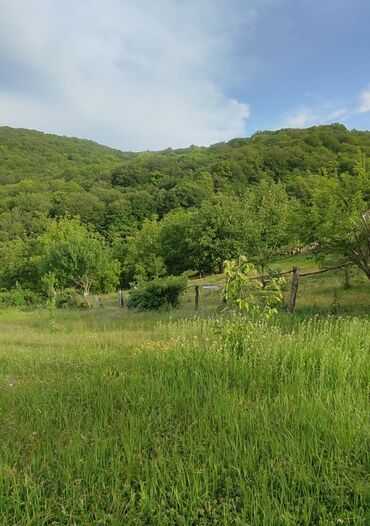 Torpaq sahələrinin satışı: 13 sot, Tikinti, Mülkiyyətçi, Kupça (Çıxarış) — 9