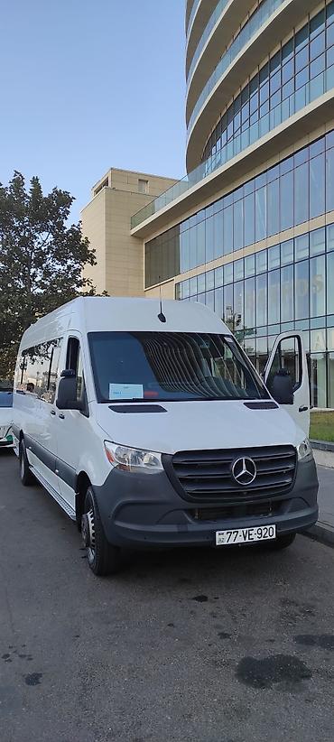 daxili turlar: Avtobus, Bakı - 20 Oturacaq — 6