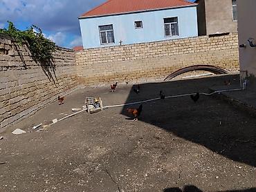 Həyət evləri və villaların satışı: 6 otaqlı, 175 kv. m, Orta təmir — 18