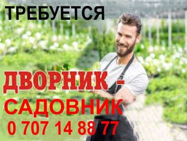 уход за волосами: Срочно требуется дворник- садовник для 5- этажного, двухподьездного