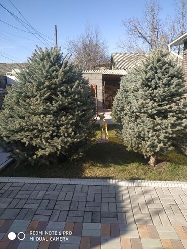 Продажа домов: Дом, 190 м², 8 комнат, Собственник — 15