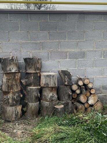 попилить дрова цена: Дрова