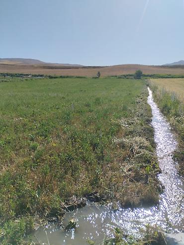 Недвижимость: 150 соток, Договор купли-продажи — 4
