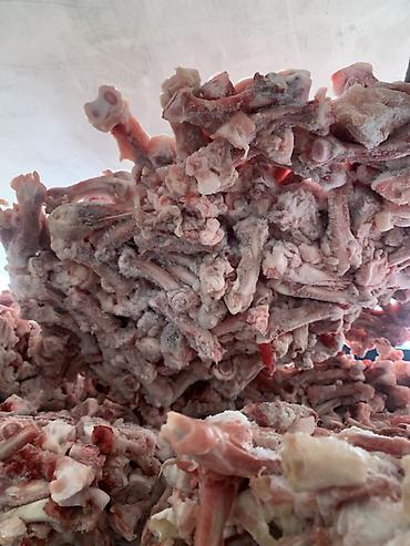куры петухи: Куриный кости не звонит только на вотсап Купи 30 кг и получи в бонус — 2