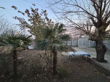 Həyət evləri və villaların satışı: Türklər qəsəbəsinin ən gözəl məhəllələrindən birində, İmamzadə — 1