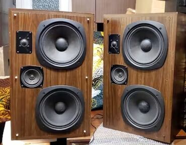 купить ноутбук леново: Peerless 1120 - Датская акустическая система. ПО ЦЕНЕ колонки s90. А