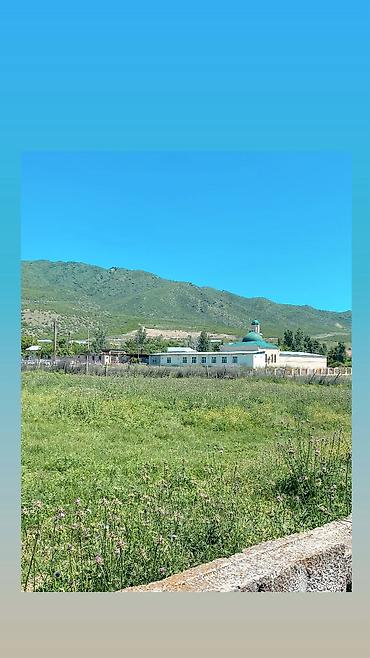 simental buzov satışı: 15 sot, Biznes üçün, Barter mümkündür, Kupça (Çıxarış) — 2