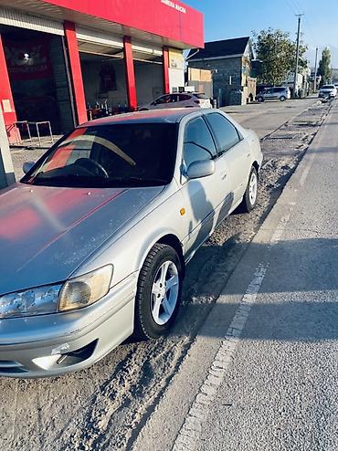 camry 55 exclusive: Toyota Camry: 1999 г., Автомат, Седан — 2