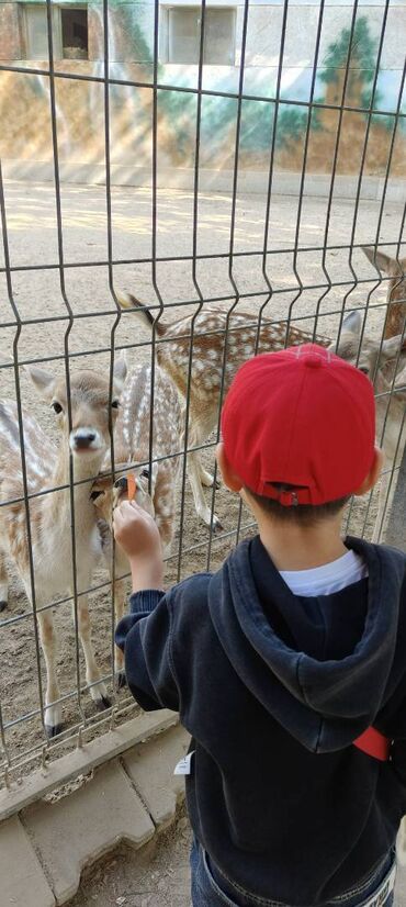 повар корейской кухни: Талап кылынат Тазалоочу lalafo.kg да повар корейской кухни: Талап кылынат Тазалоочу