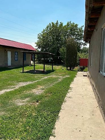 дом кантте: Продаётся жилой дом с участком. 🏡 Продается дом с времянками и — 7