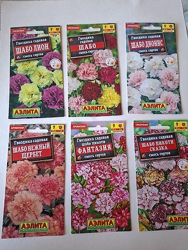 tut aragi satilir: Eustoma (lisianthus) toxumu – “Arena” seriyası, VIP xətt — 8