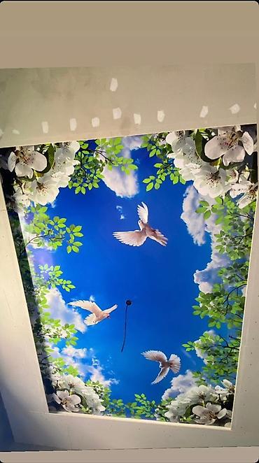 Натяжной потолок: Натяжной потолок Глянцевое, Матовое, 3D потолки Гарантия, Бесплатная консультация, Бесплатный замер — 6