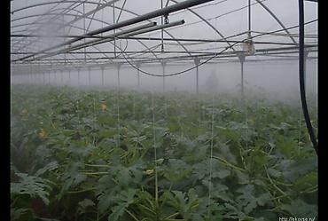 Компрессоры: Туманообразование. Охлаждение и увлажнение воздуха в теплицах, кафе и — 12