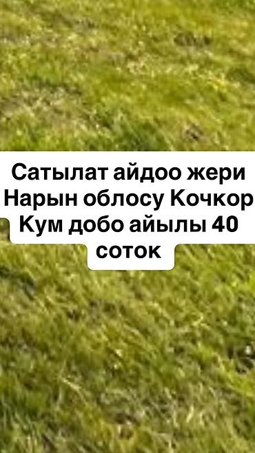 нарынский: 40 соток, Для сельского хозяйства — 1