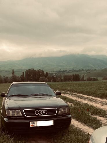 мухабойка на ауди: Audi A6: 1995 г., 2.8 л, Автомат, Бензин, Седан