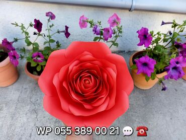 Digər ev dekoru: Sinif otağı, bağça,, məktəb, gözəllik salonu, mağaza vitrin, toy nişan — 7