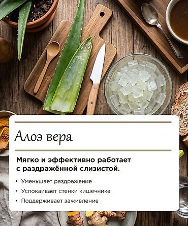 ожог: Алоэ вера (Aloe vera) - декоративно ‑лекарственное растение - — 2