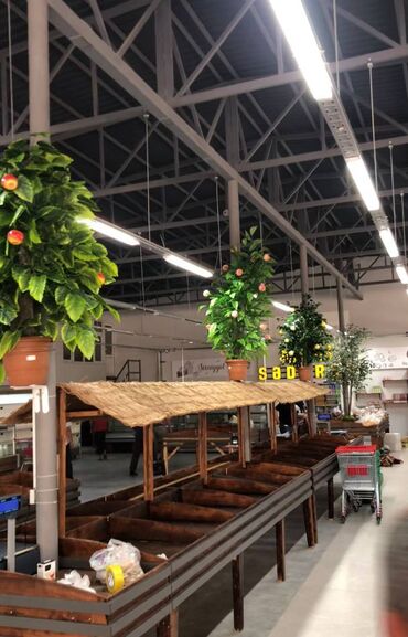 Mağazalar: Sabunçu rayonu Bakixanov qəsəbəsində,sahəsi 650 kv/m olan, obyekt — 16