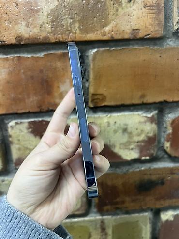 magic mouse 2: IPhone 13 Pro, 256 ГБ, цвет Sierra Blue Характеристики и детали по — 7