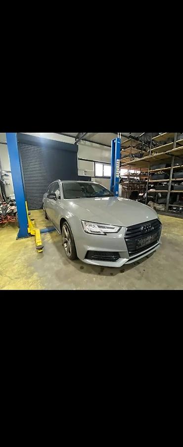 bueno: AUDI A4 B9 0 DELOVI DESNO KRILO | Audi delovi ALTINA ZEMUN — 2
