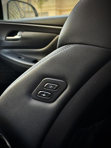 Hyundai: Hyundai Santa Fe: 2019 г., 2 л, Автомат, Дизель, Кроссовер — 14