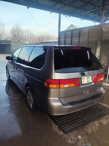 step wgn: Honda Odyssey: 1999 г., 3.5 л, Автомат, Бензин, Минивэн — 2