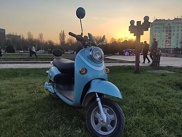 электро мопеты: Продаётся электромопед aucma (ecobike) можно ездить без прав, с 16 — 3