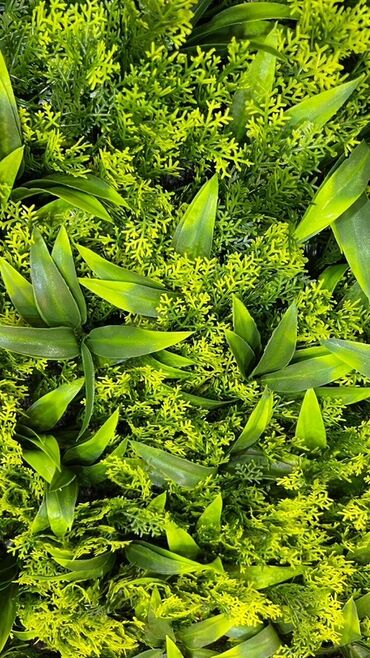 Süni güllər: Süni yaşıl divar paneli müxtəlif yaşıl yarpaqların və qırmızı — 31