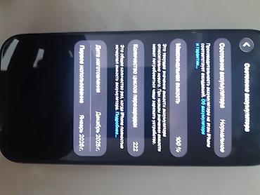 кулер ноутбук: IPhone 17 Pro, Б/у, 256 ГБ, Синий, Зарядное устройство, 100 % — 3