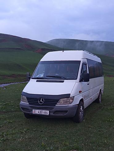 w210 e320: Пункт назначения: Все направления, Количество мест: 18, Лицензия №: 00В005382 — 7